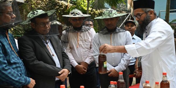 চট্টগ্রামে মাইনুলের বাড়ির আঙিনায় ‘মিনি সুন্দরবন’ 